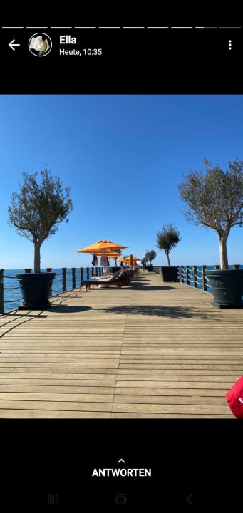 Strand Arum Barut Collection