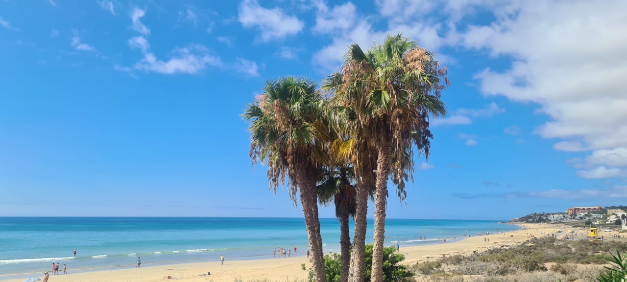 Strand SBH Costa Calma Beach Resort