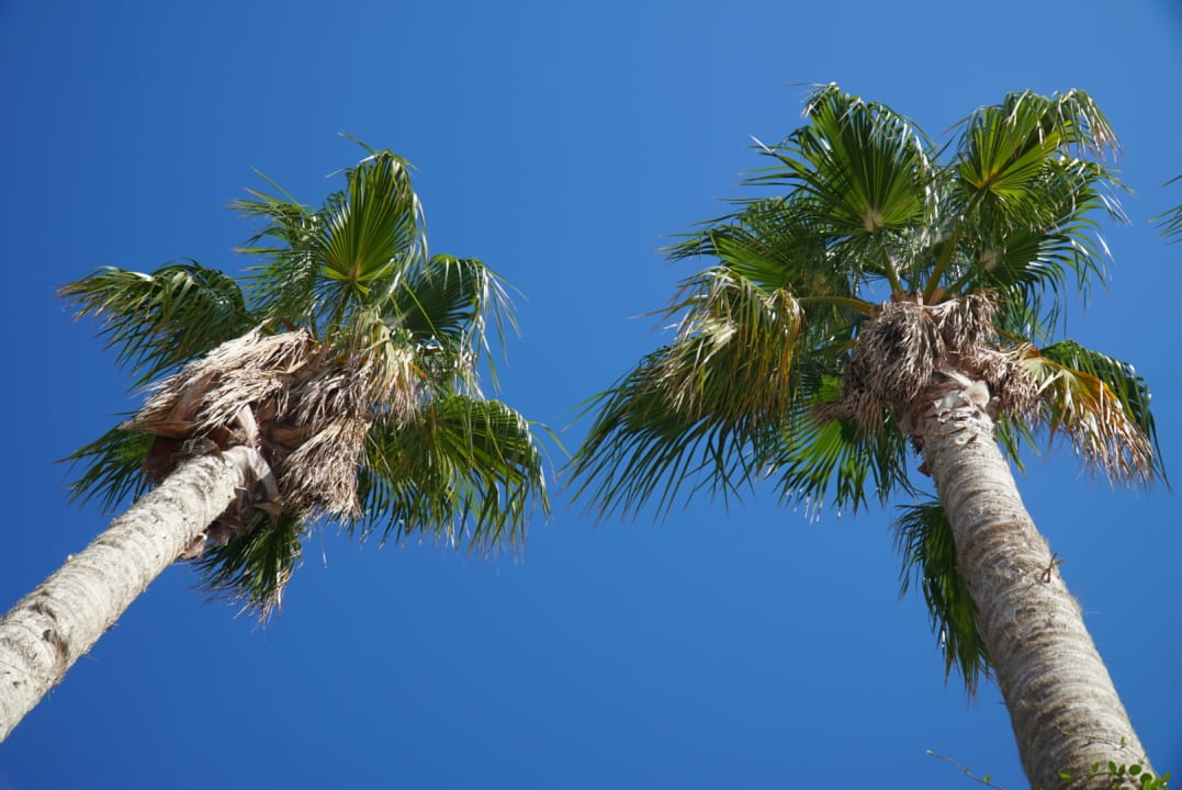 Sonstiges Numa Bay Exclusive Hotel