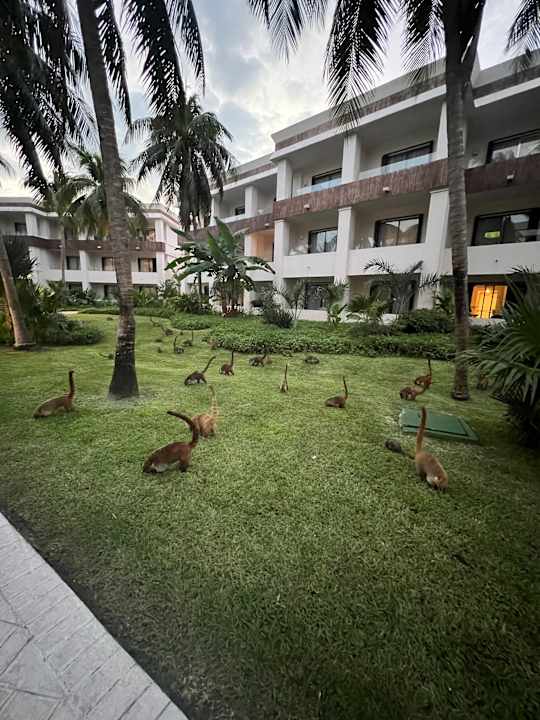 Gartenanlage Bahia Principe Grand Tulum