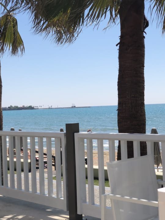 Ausblick Acanthus Cennet Barut Collection