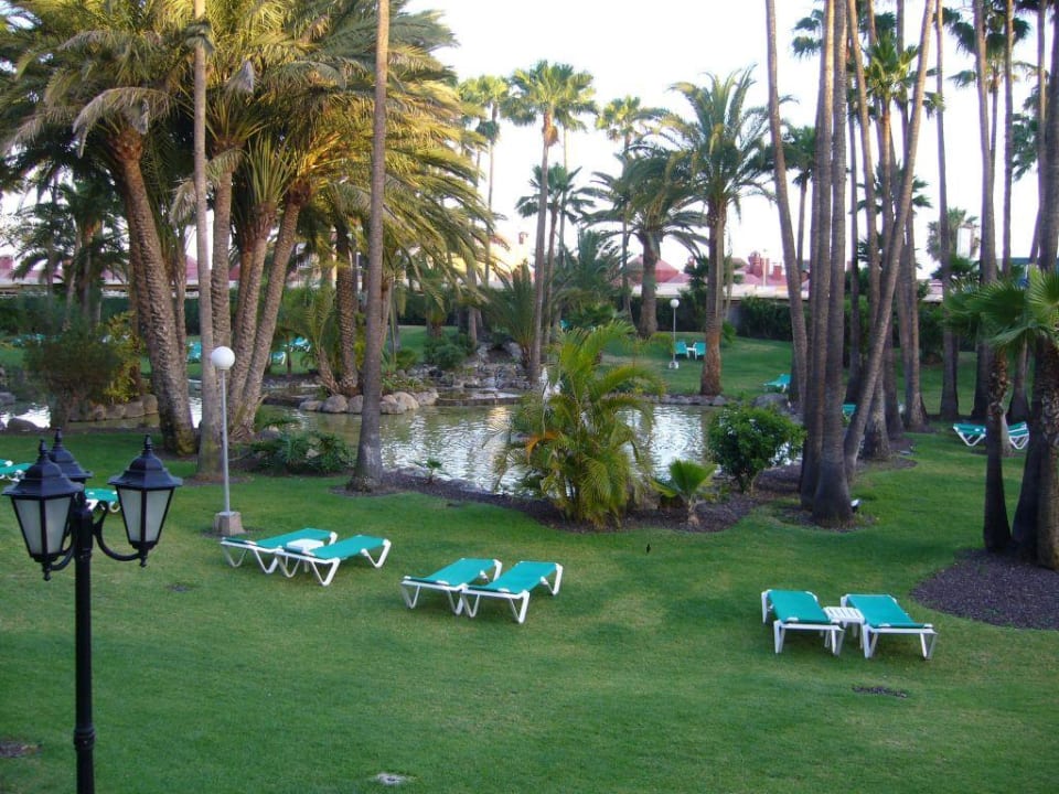Gartenanlage des Riu Grand Palace Maspalomas Oasis Hotel Riu Palace Oasis