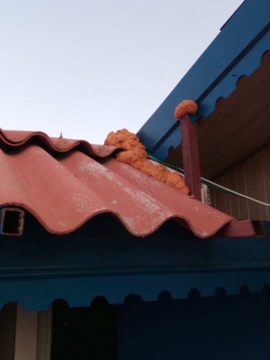 Ausblick Side Tuana Garden Home