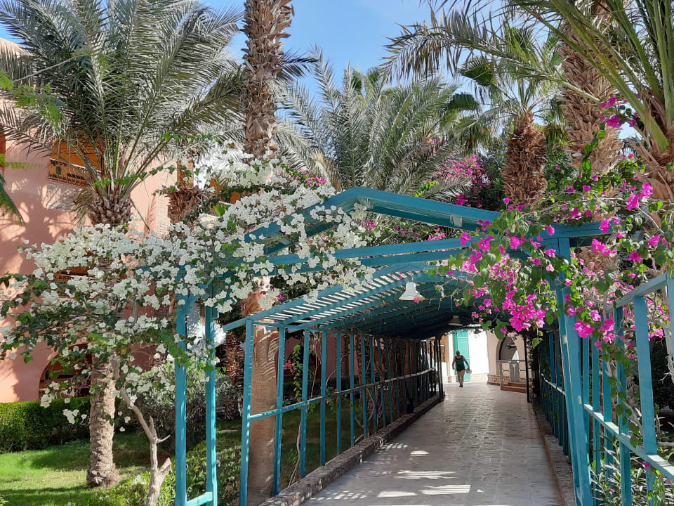 Gartenanlage Arabia Azur Resort