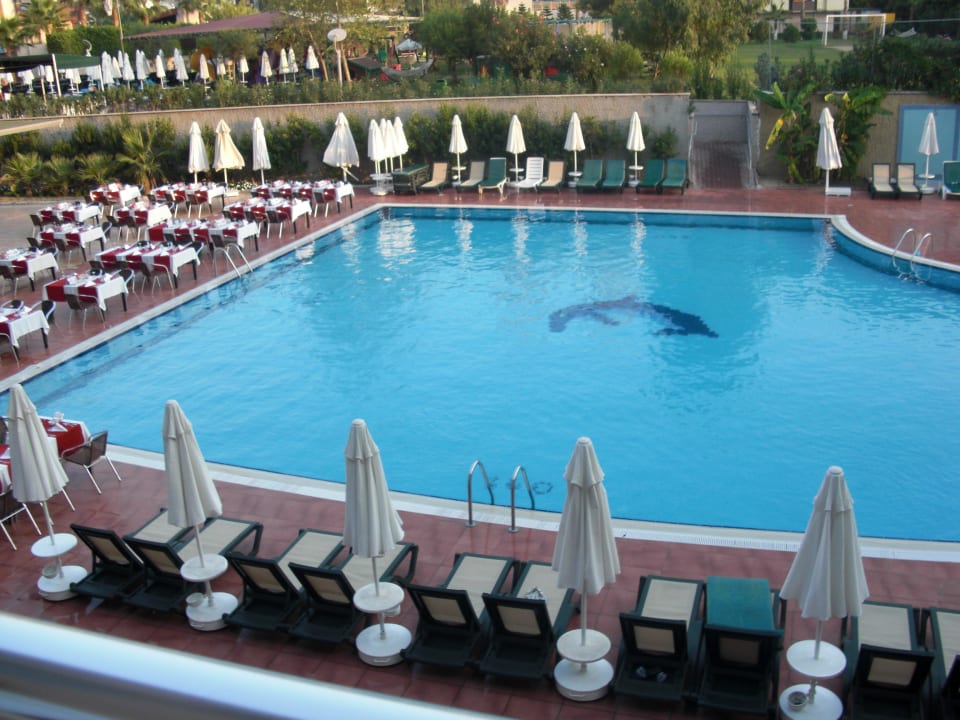 Pool Hinten Hane Family Resort