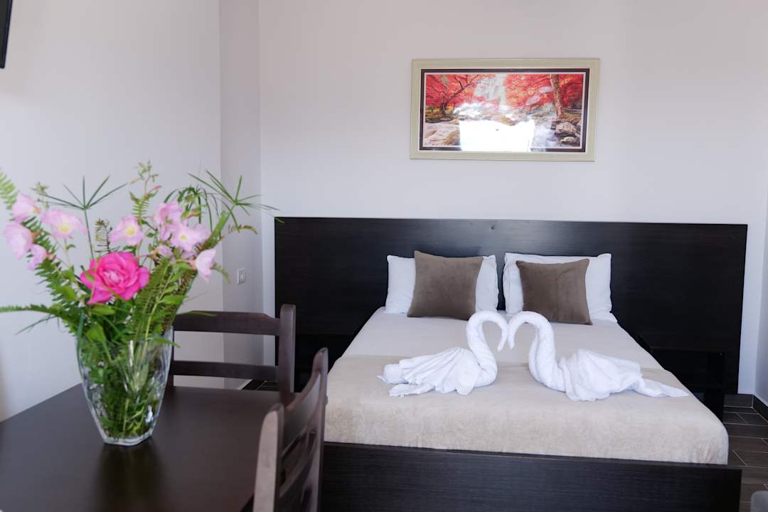 Zimmer Summer Dreams