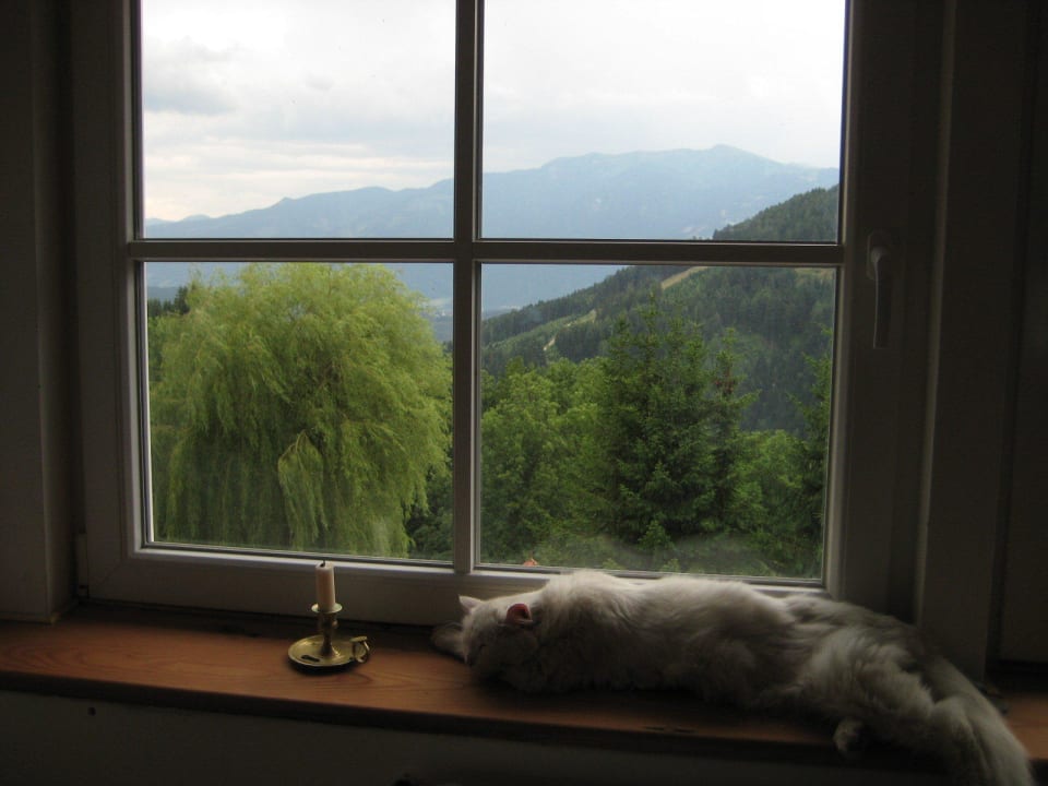 Beautiful panorama from the room Hotel Altes Pfarrhaus Altersberg