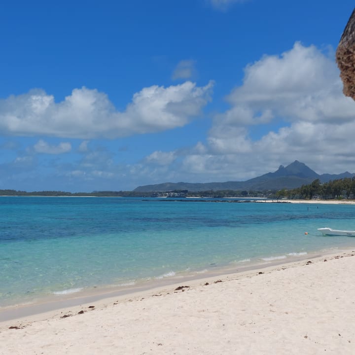 Strand Tropical Attitude - Adults only