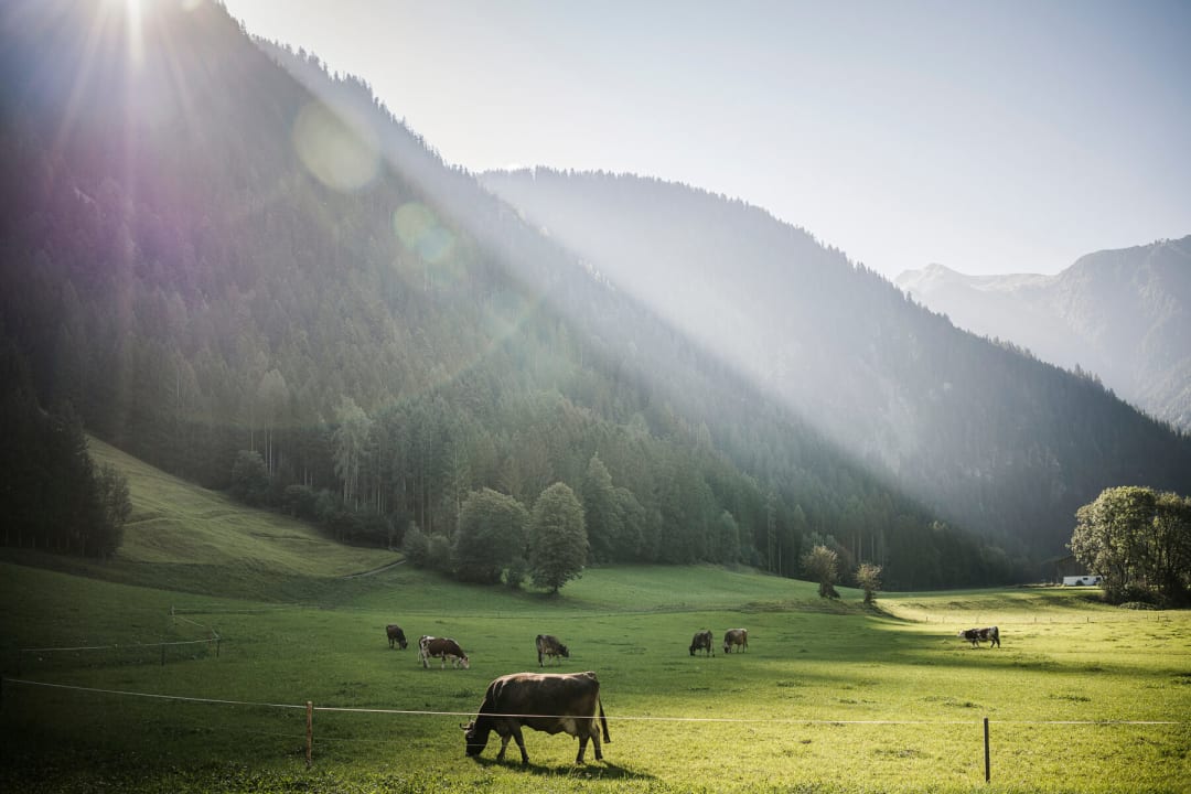 Ausblick Apparthotel Bergkristall