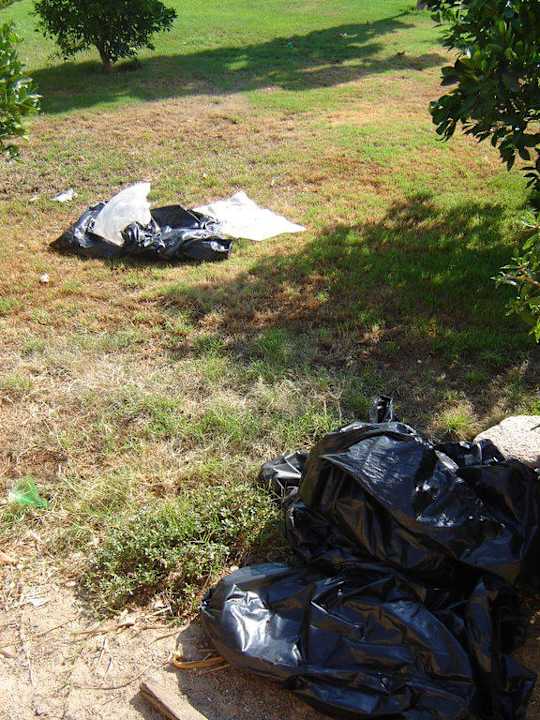 Tak wygląda na terenie parku hotelowego La Playa Beach Resort Taba