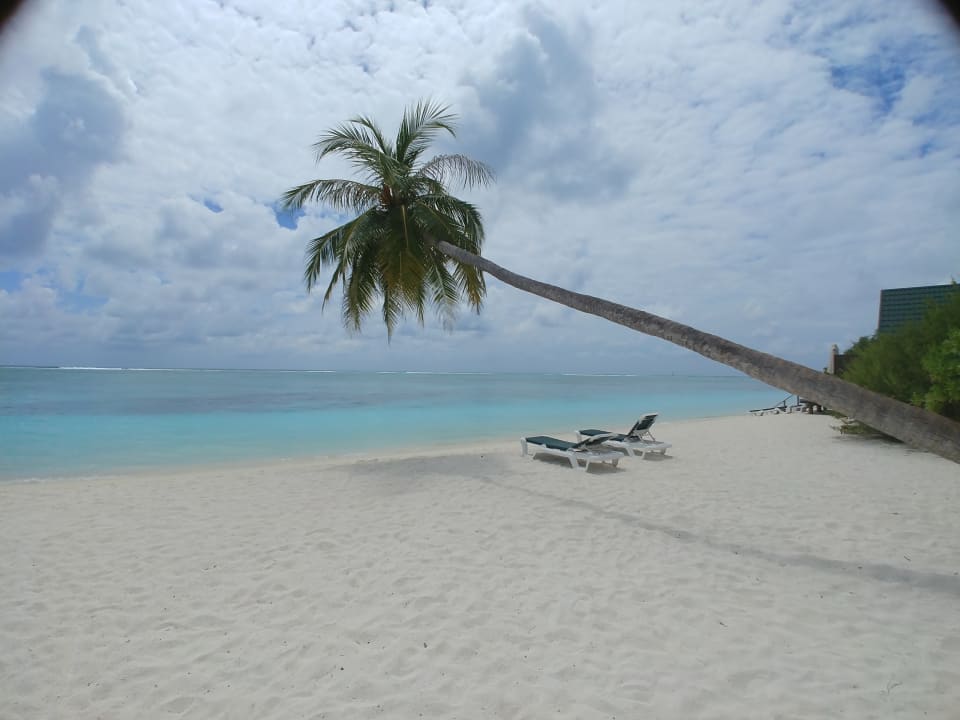 Strand Meeru Maldives Resort Island