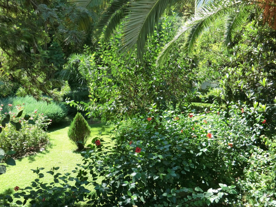 Botanischer Garten Botanik Hotel & Resort