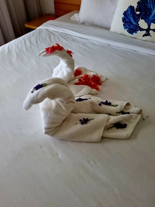 Zimmer Lagoon Attitude - Adults only