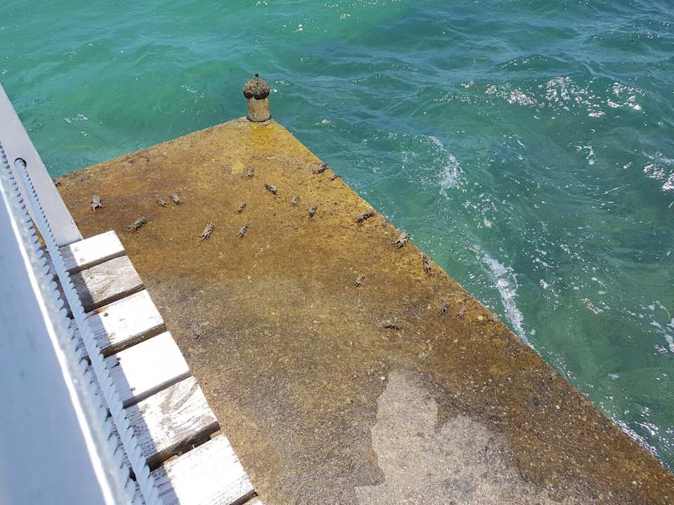 Strand Grand Muthu Club Caribbean Runaway Bay