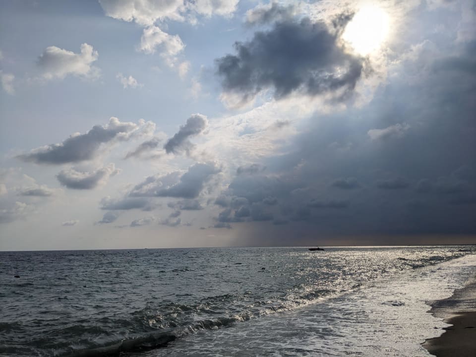 Strand TUI BLUE Palm Garden
