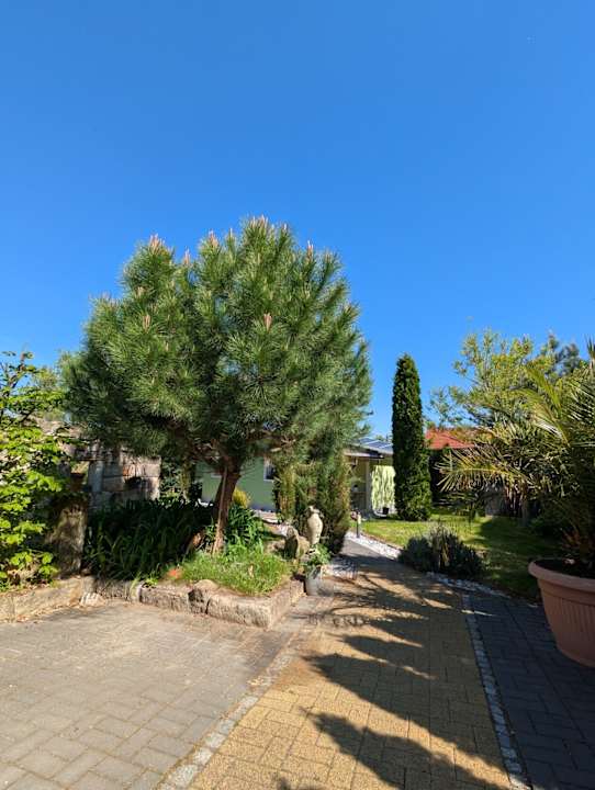 Außenansicht Ferienhaus Königsnase