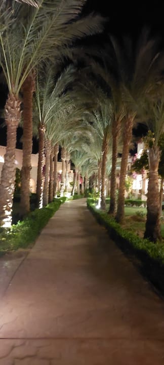 Gartenanlage Hotel Emerald Lagoon