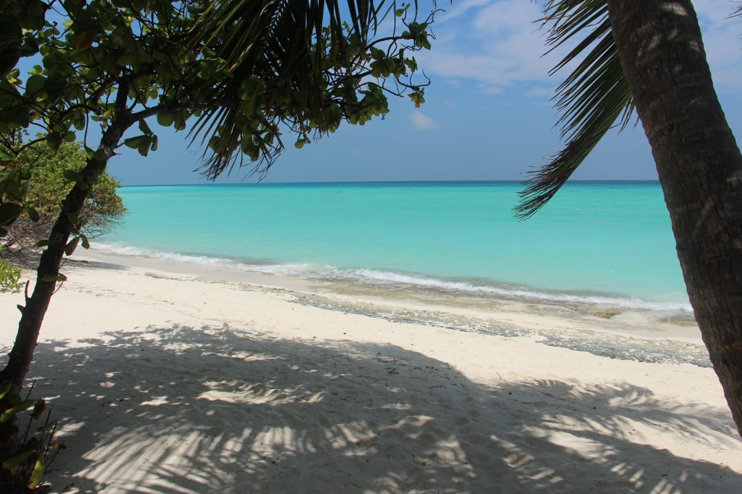 Traumstrand an der Lagune Kuramathi Maldives