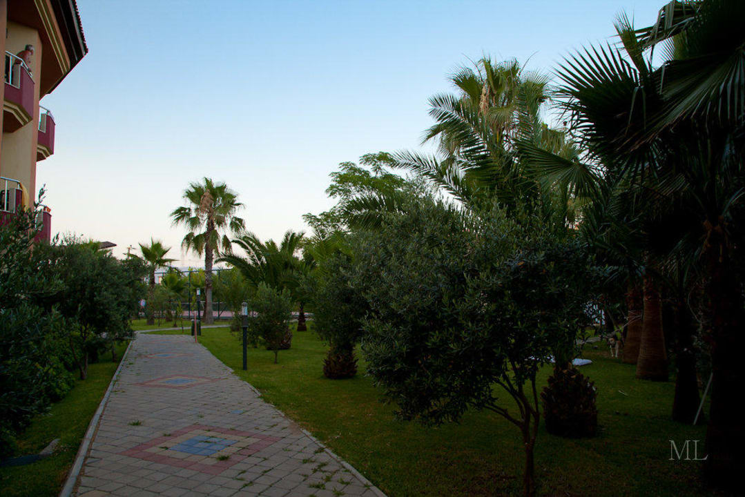 Gartenseite Hotel Orfeus Park