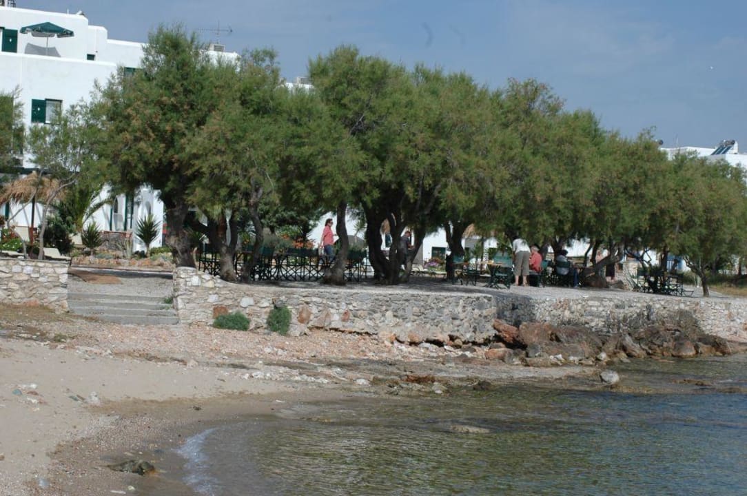 Hotel vom Strand aus gesehen Kalypso Hotel