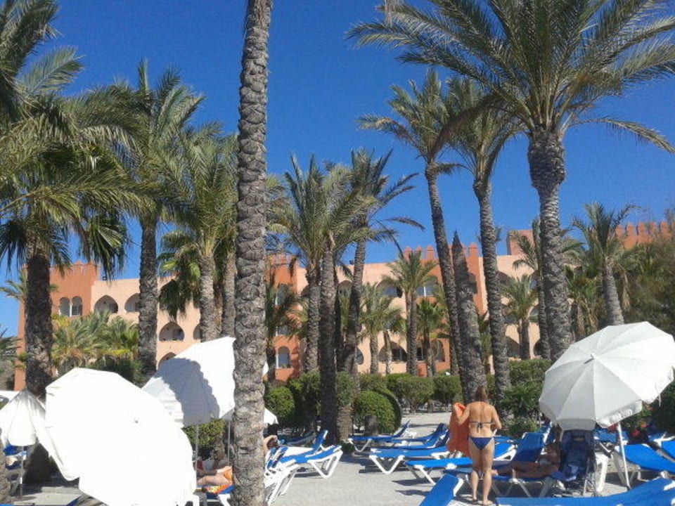 El hotel se esconde tras las palmeras. Playacálida Hotel