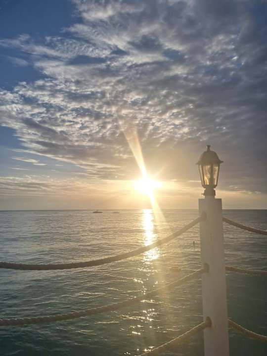 Sonstiges Hotel Botanik Platinum