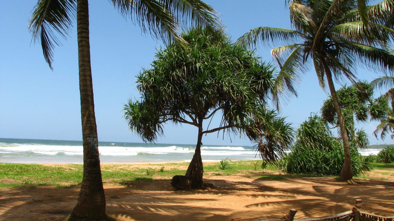 Unser Hotelstrand Thaala Bentota