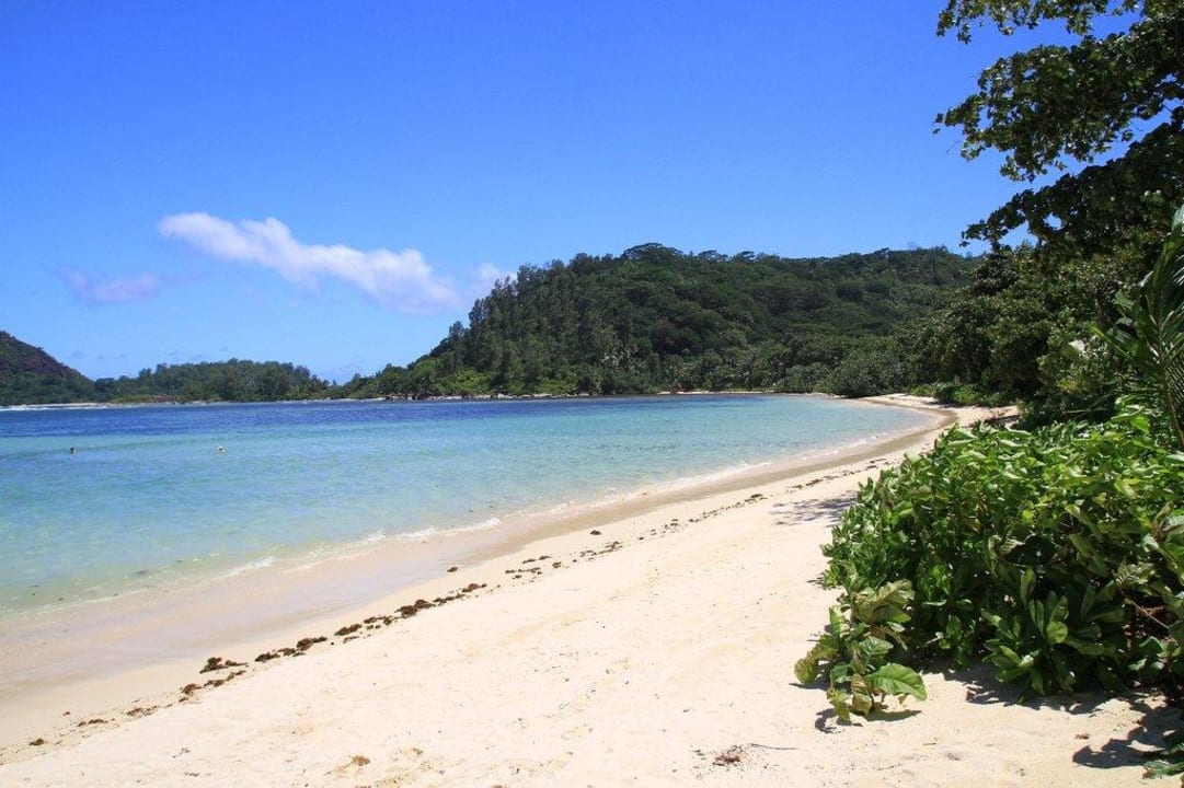 Am Südstrand Constance Ephelia