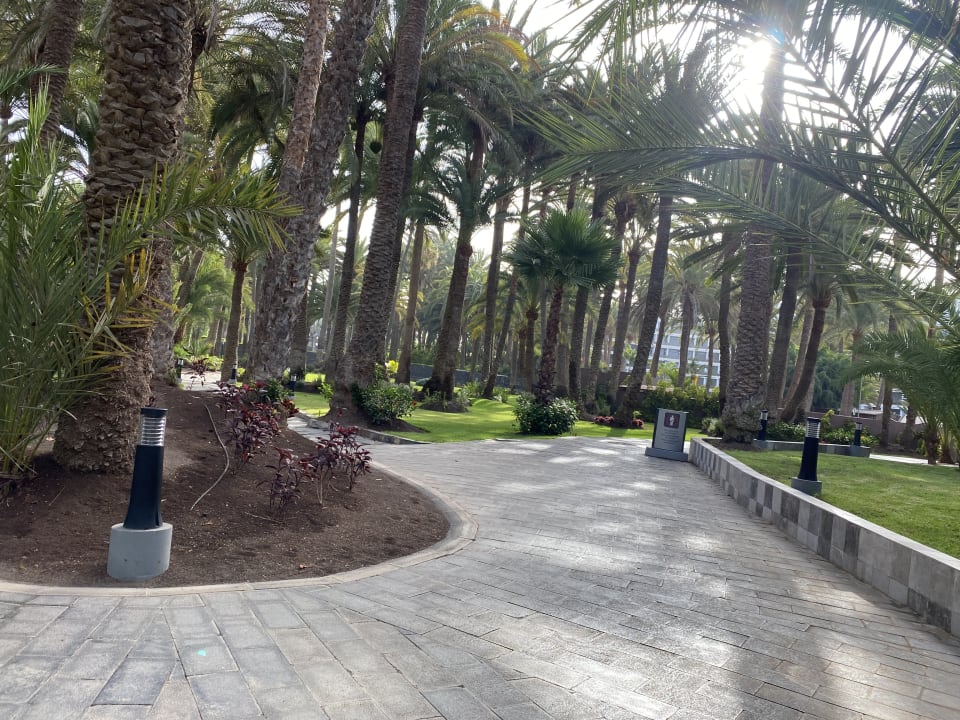 Gartenanlage Hotel Riu Palace Oasis