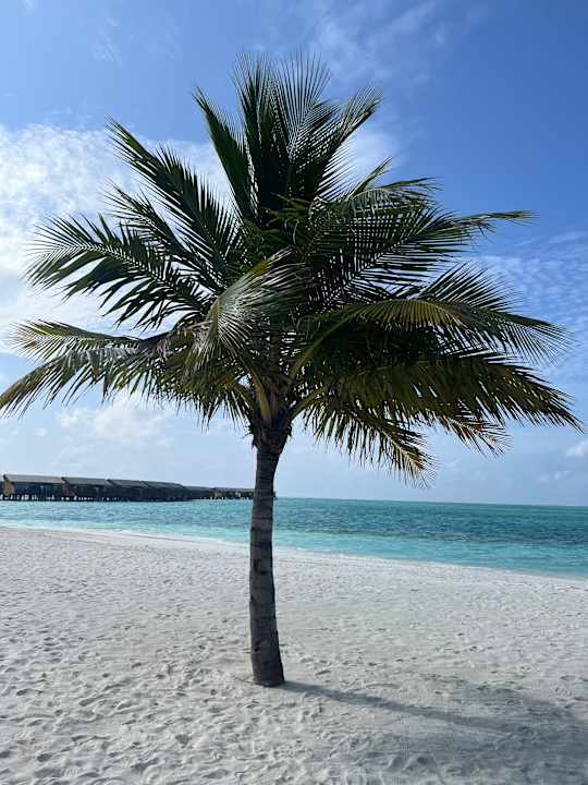 Strand You & Me Maldives - Adults Only - Premium All-Inclusive
