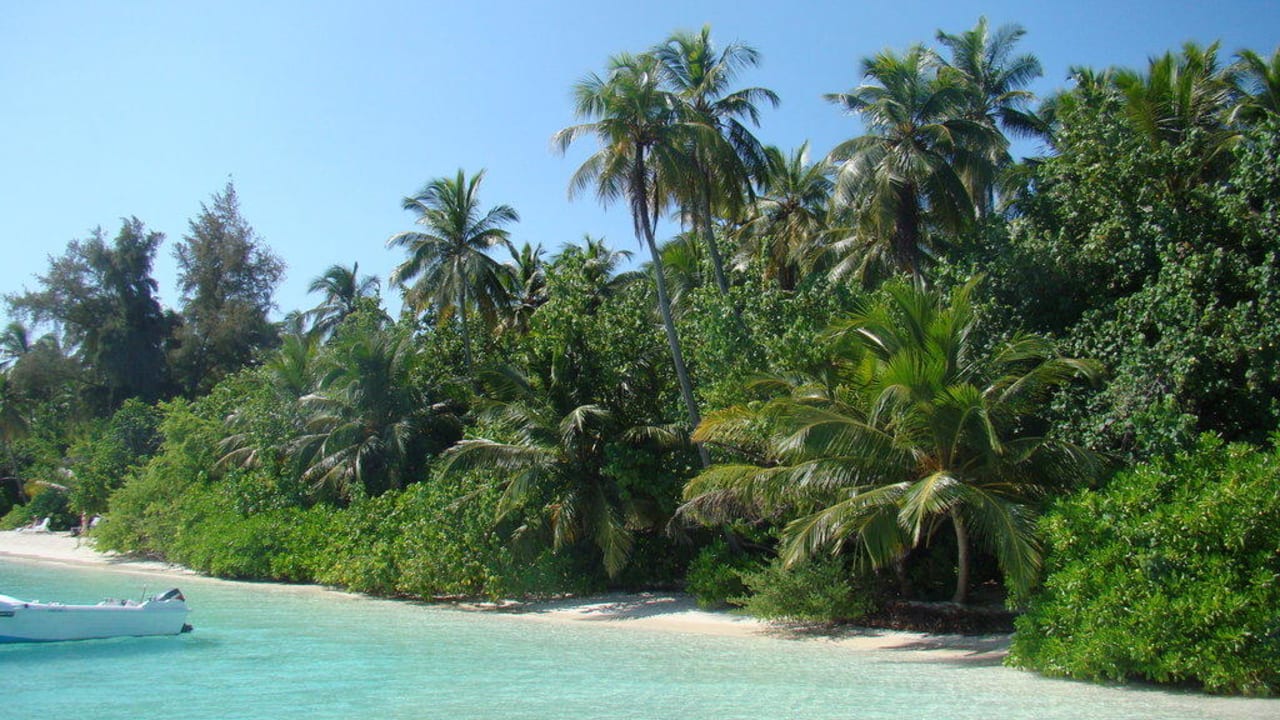 Strand  Biyadhoo Island Resort