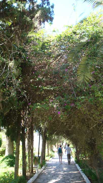 Spazieren durch die Anlage The Orangers Beach Resort and Bungalows