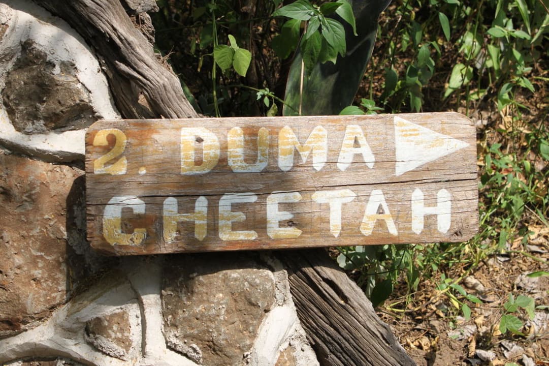 Wegweiser zum Zelt Aruba-Mara Camp