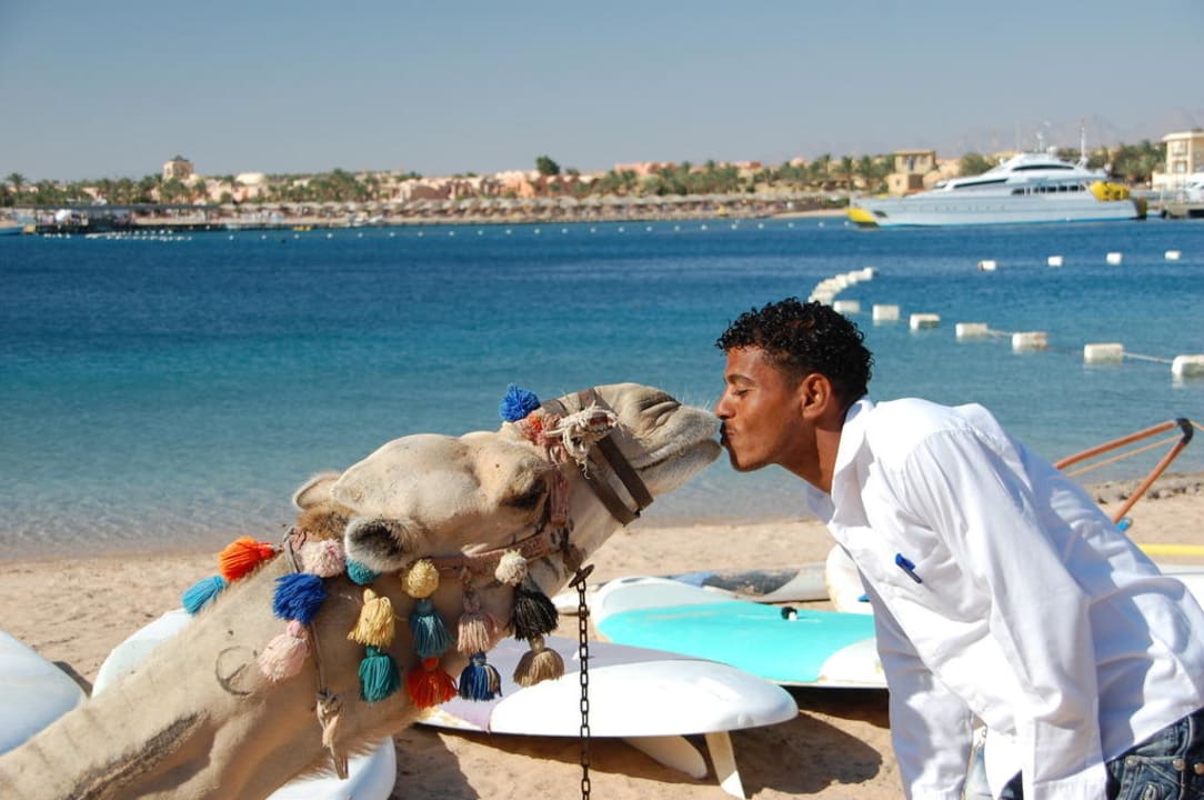 Makadi Bucht Fort Arabesque Resort, Spa & Villas