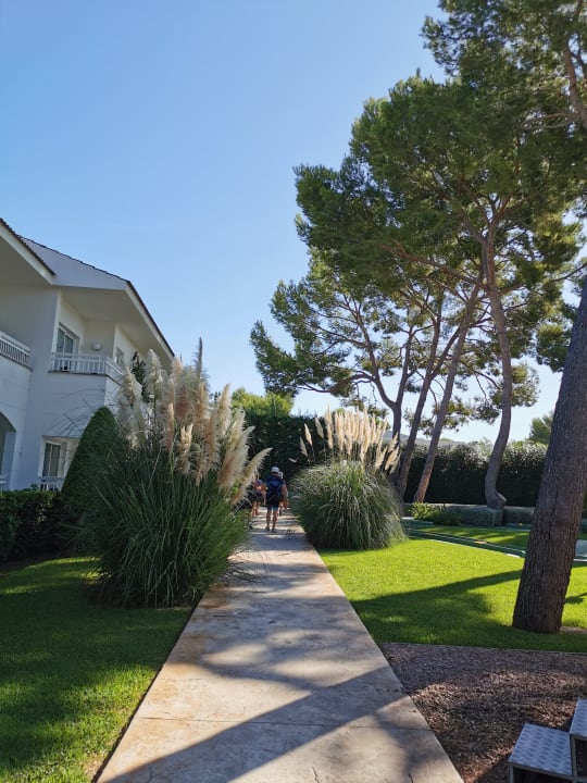 Gartenanlage Prinsotel La Dorada