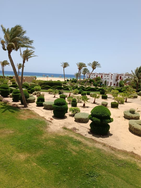 Außenansicht Hotel Gorgonia Beach Resort