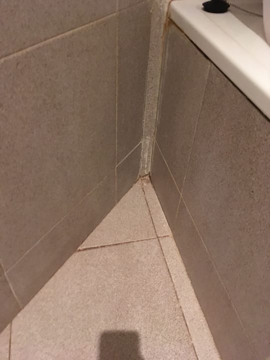 Zimmer Melia La Palma Hotel