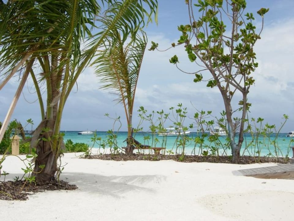 Eine Strandaussicht Baros Maldives Resort
