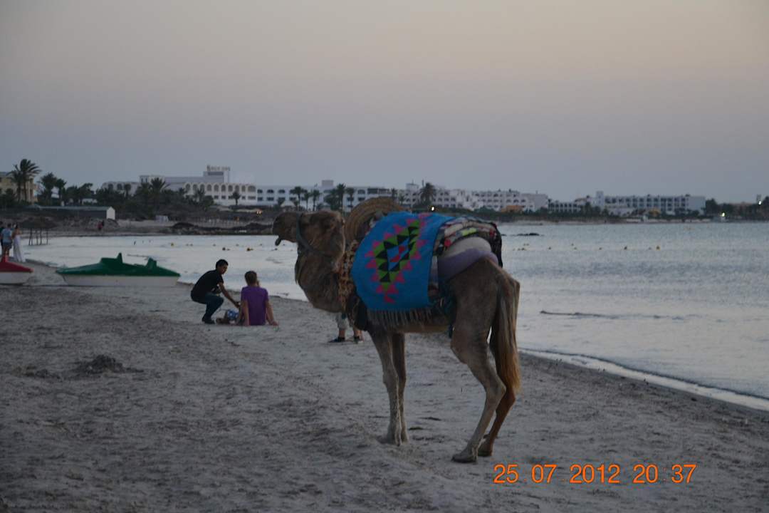 Dodatkowe atrakcje Hotel Rosa Beach