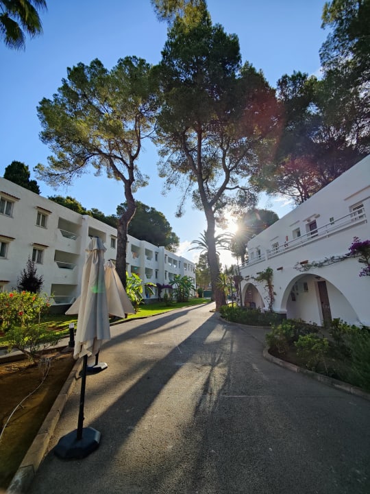 Gartenanlage TUI MAGIC LIFE Cala Pada