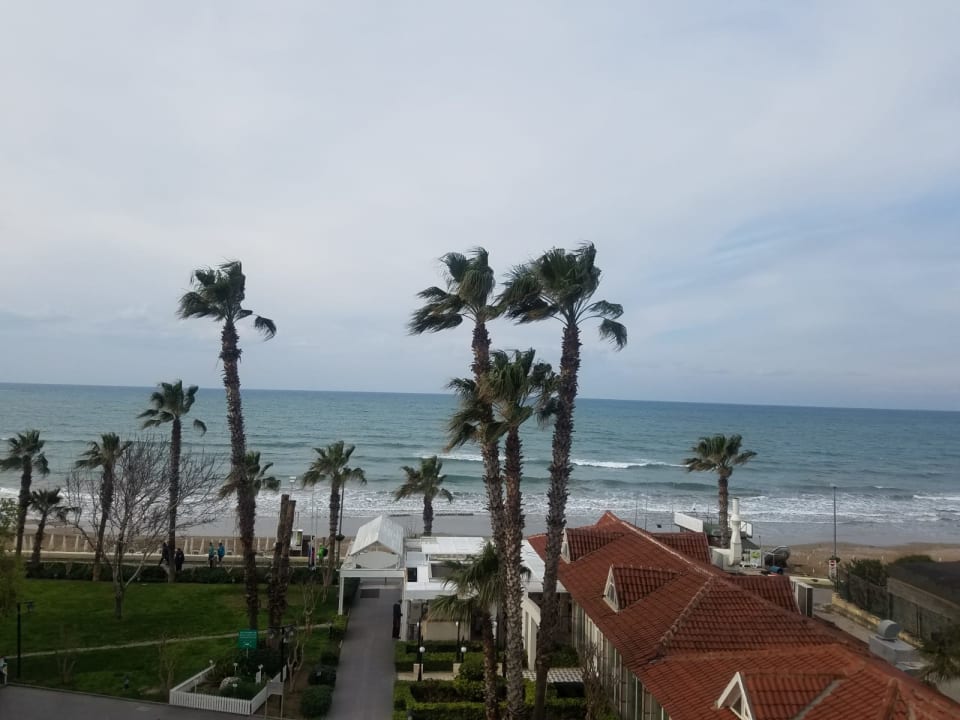 Zimmer Side Star Beach