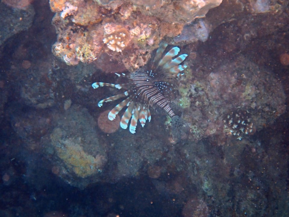Pool Three Corners Equinox Beach Resort