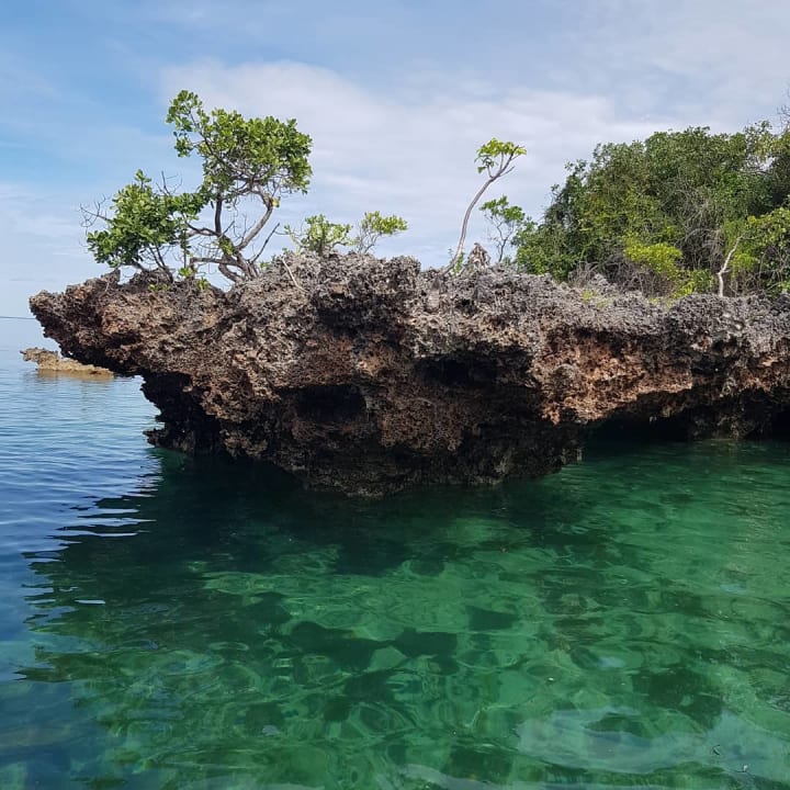 Strand Hotel Kiwengwa Beach Resort