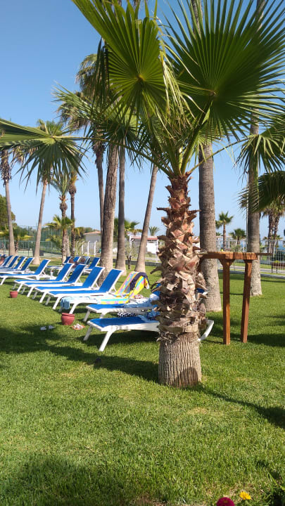 Gartenanlage Süral Saray Hotel