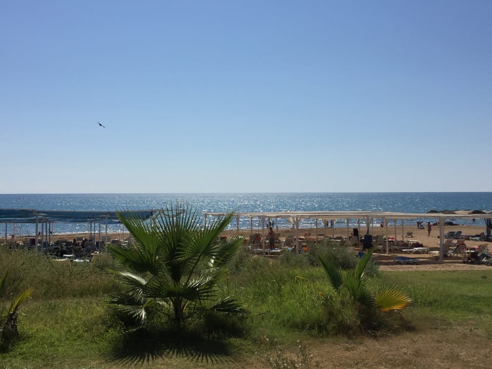 Strand Hotel Orfeus Park