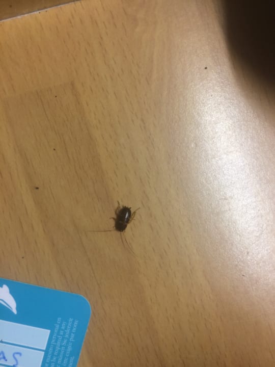 Zimmer Suites & Villas by Dunas