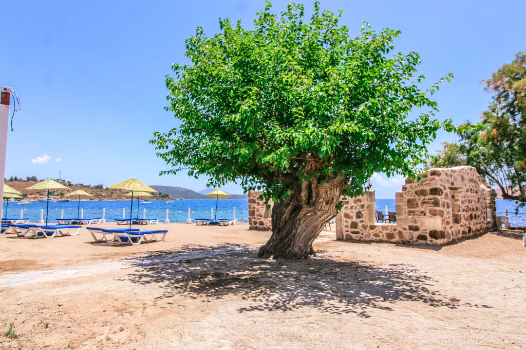 Strand Hotel Club Muskebi