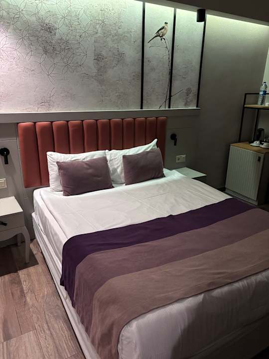 Zimmer Seaden Sea Planet Resort & Spa