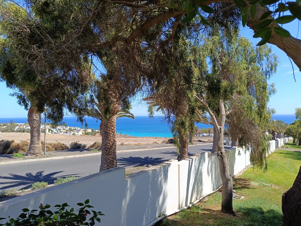 Ausblick allsun App.-Hotel Esquinzo Beach