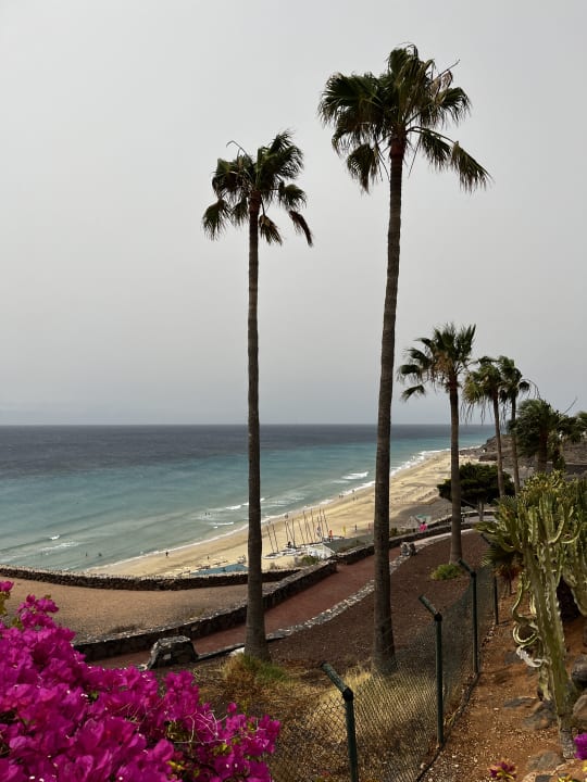 Strand ROBINSON ESQUINZO PLAYA